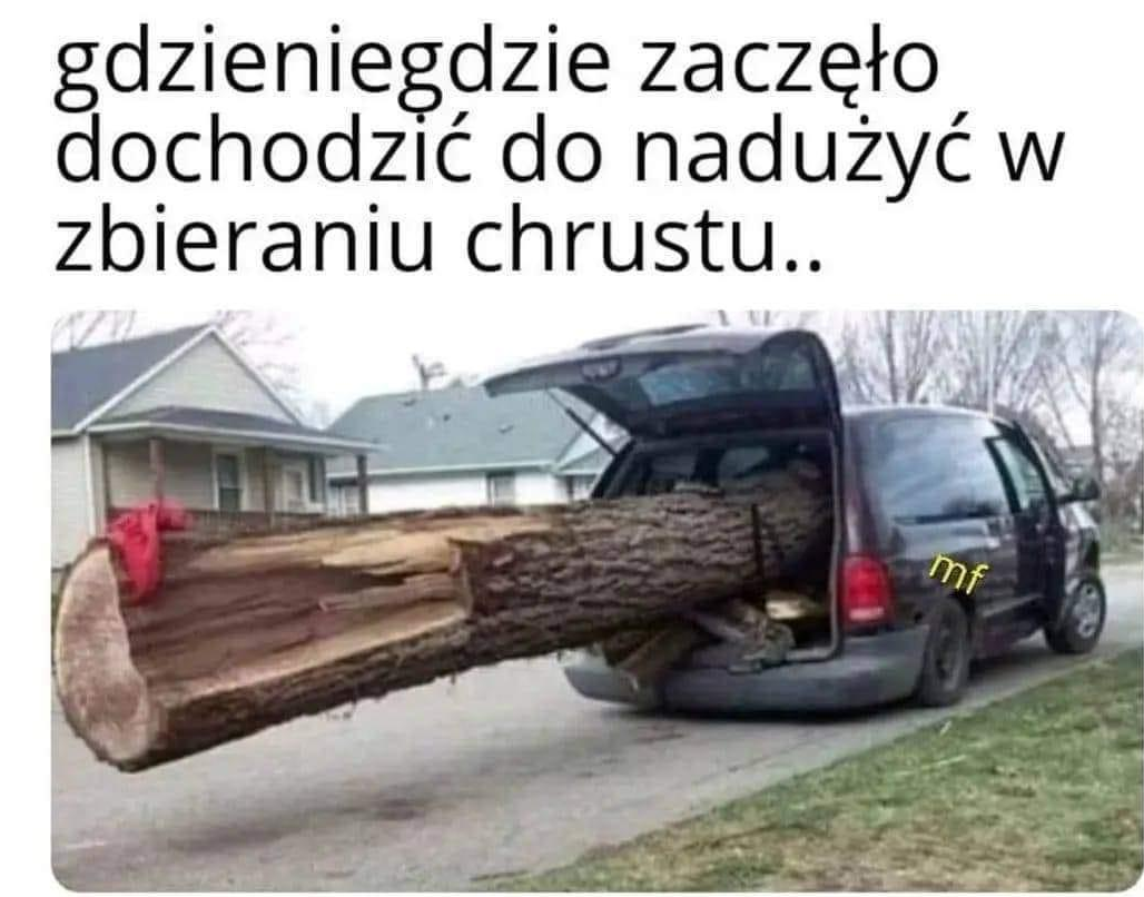 obraz_2022-06-09_094734158.png