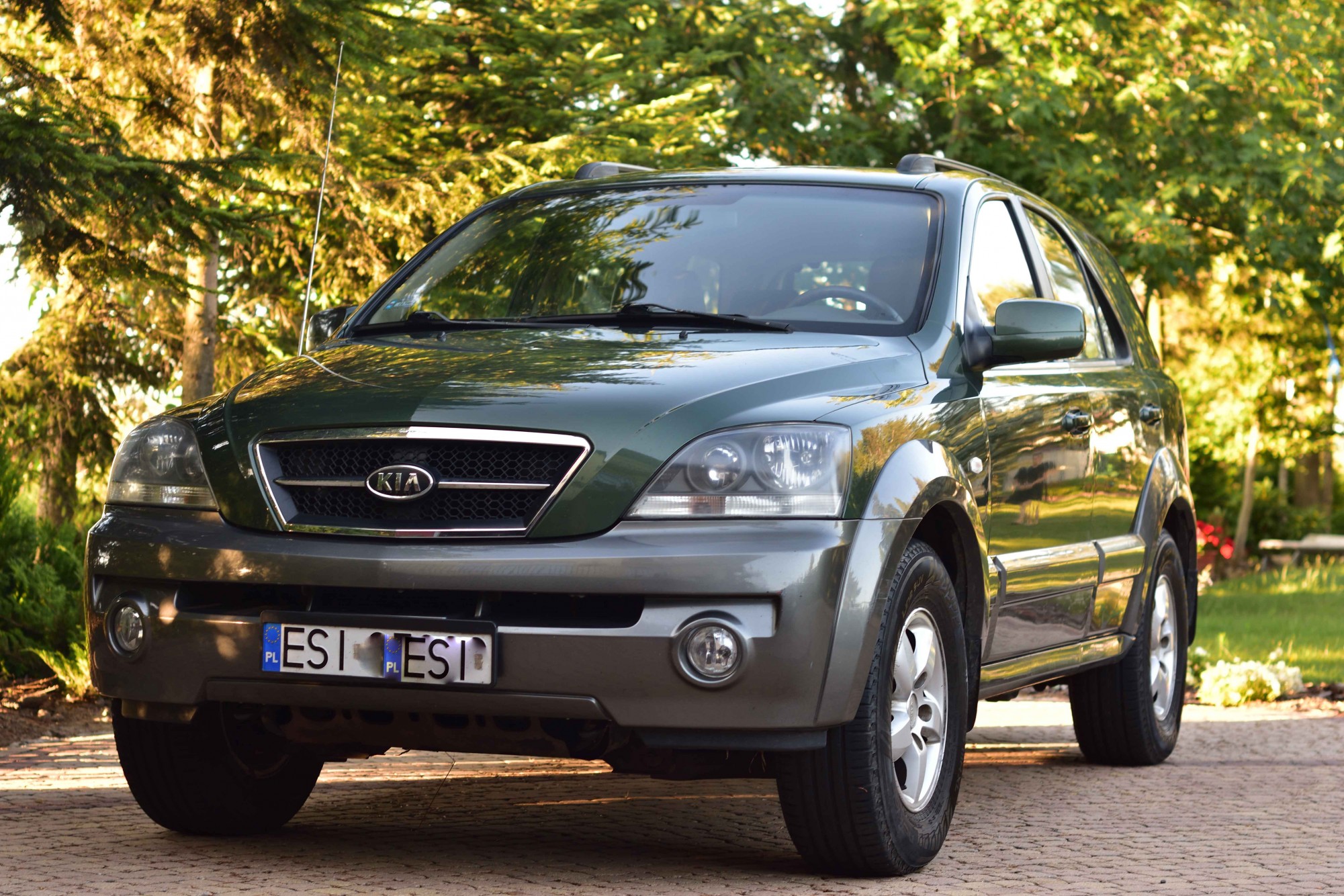 RIM_5908-2.jpg