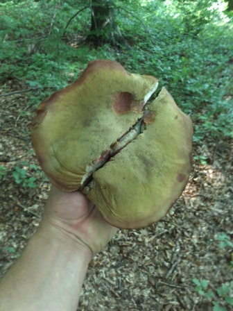 IMG045.jpg