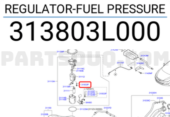 313803L000-COVER.png