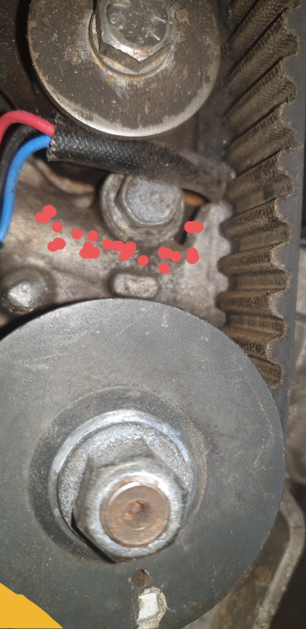 20250617_102541.jpg