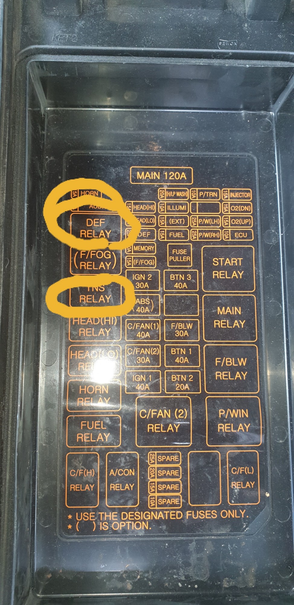 20250625_155931.jpg