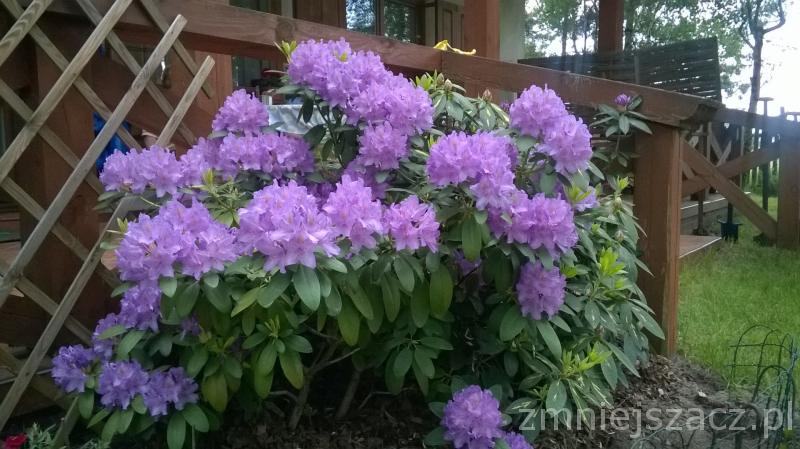 5467768_WP_20160527_011.jpg