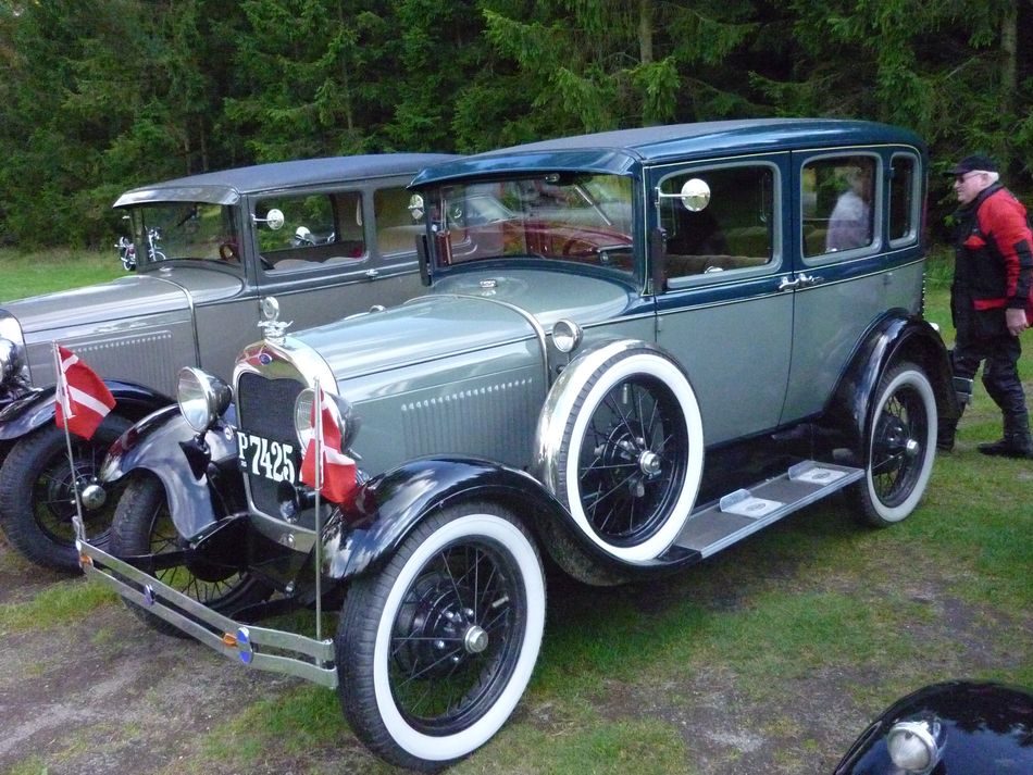 P1020703a.jpg