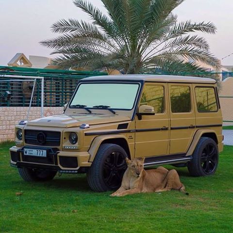 dubai.jpg