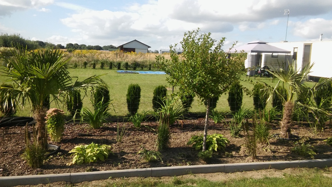 20160830_162348.jpg