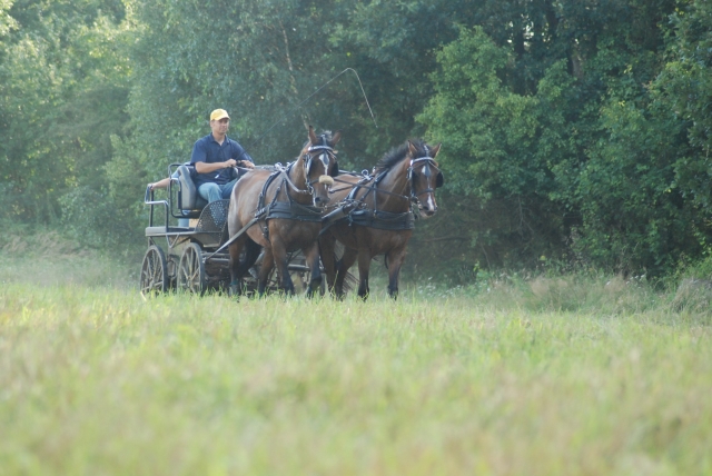 DSC_1304m.jpg
