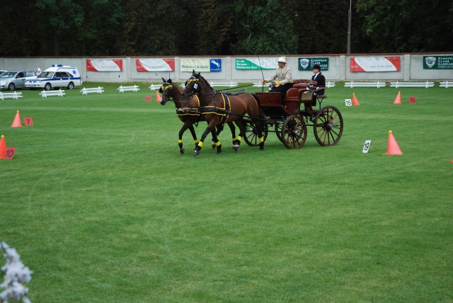 DSC_1442m.jpg